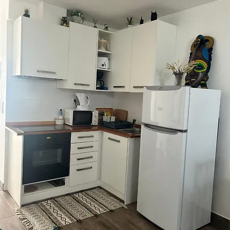 Ocean House 公寓 圣克鲁斯